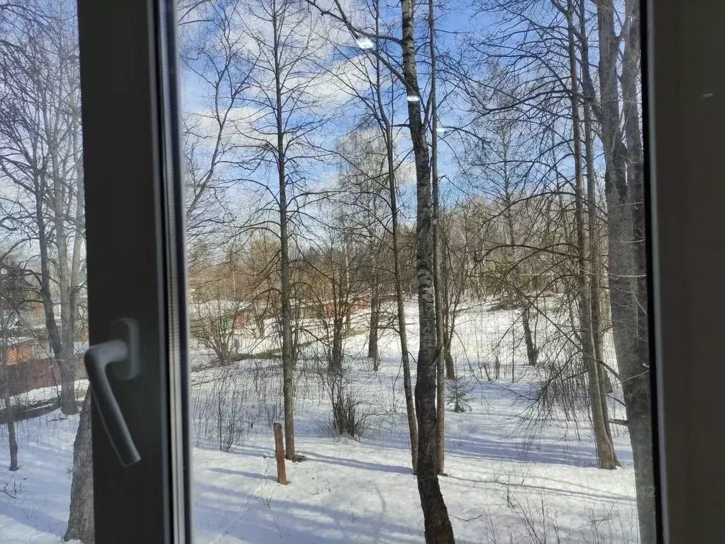 3-к кв. Владимирская область, Карабаново г. Александровский ... - Фото 2