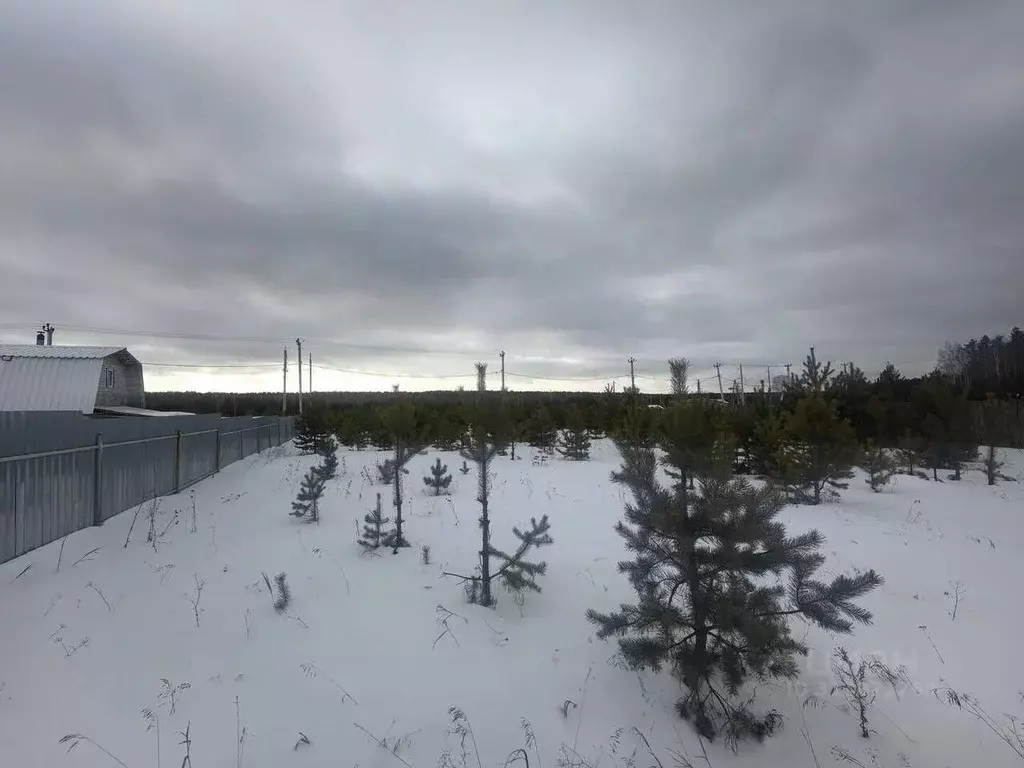 Участок в Свердловская область, Белоярский муниципальный округ ул. ... - Фото 1