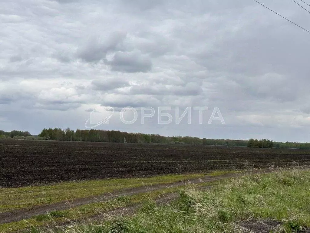 Участок в Тюменская область, Тюменский район, Новокаменский кп  (80.0 ... - Фото 1