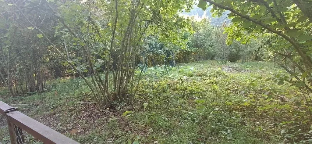 Участок в Краснодарский край, Туапсинский муниципальный округ, Росинка ... - Фото 0