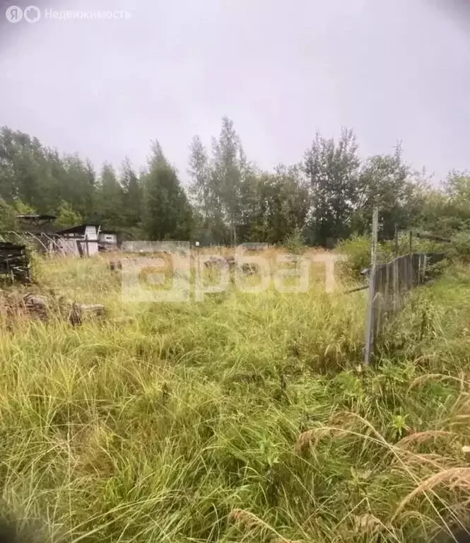 Участок в Кострома, Центральный район (10 м) - Фото 1