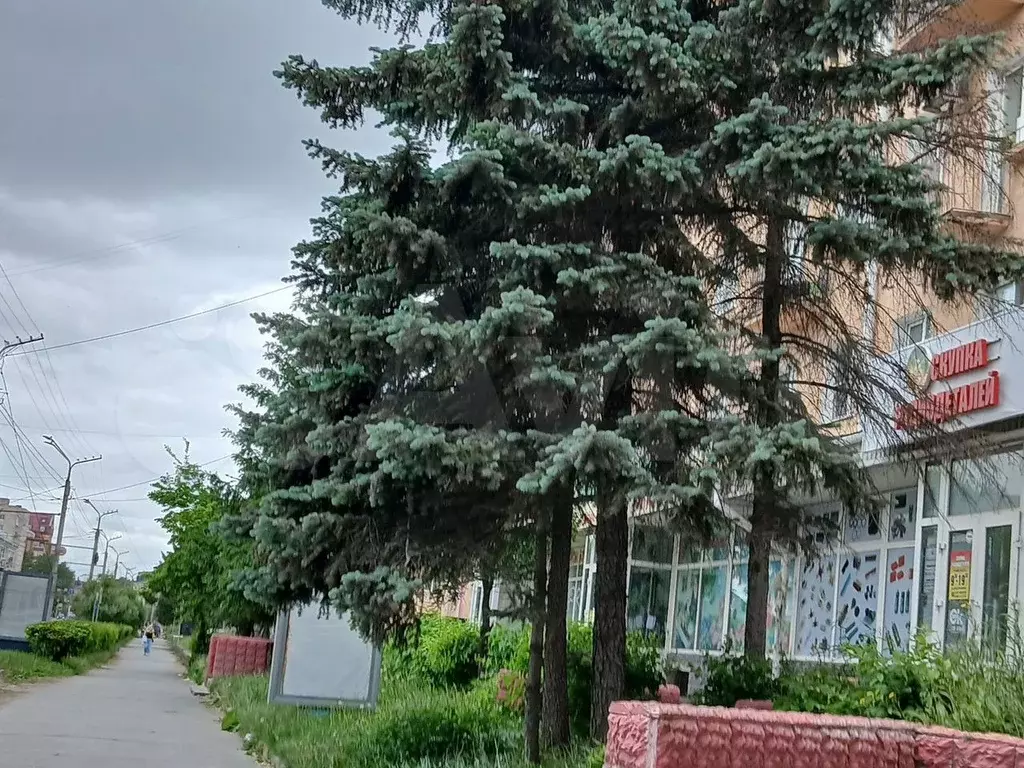 Сдам помещение свободного назначения, 205 м - Фото 0