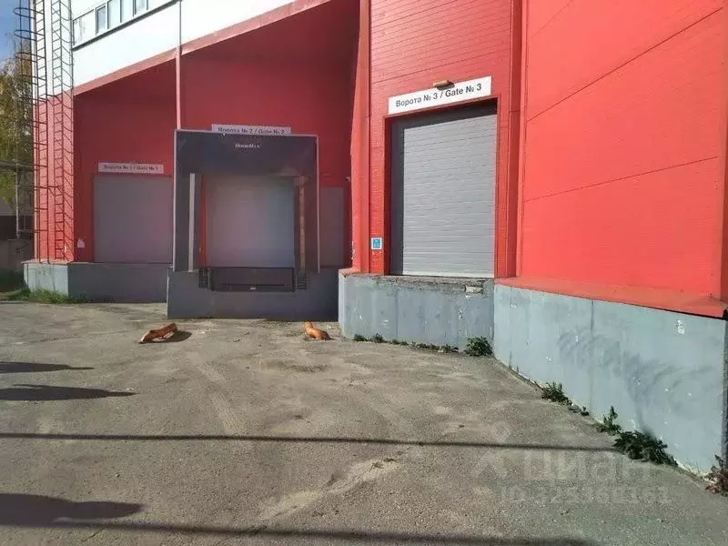 Склад в Нижегородская область, Нижний Новгород Московское ш., 300 ... - Фото 2