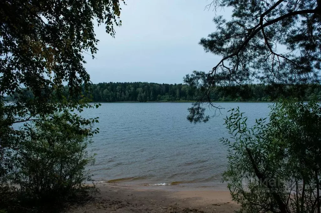 Участок в Московская область, Солнечногорск городской округ, д. ... - Фото 0