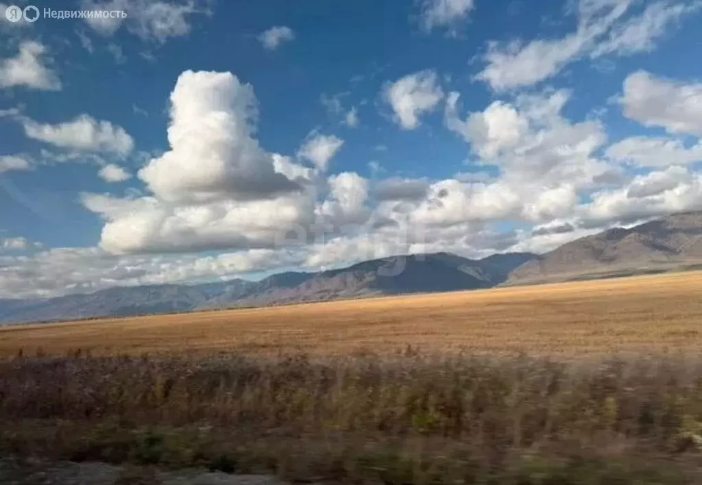 Участок в Усть-Коксинский район, село Усть-Кокса (120 м) - Фото 2