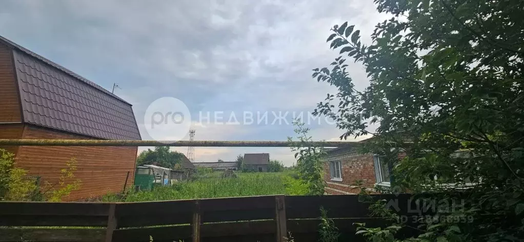 Участок в Рязанская область, Рыбновский район, с. Кузьминское  (30.68 ... - Фото 1