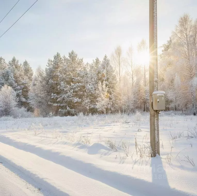 Участок в Кировская область, Киров Славич СДТ,  (6.0 сот.) - Фото 1