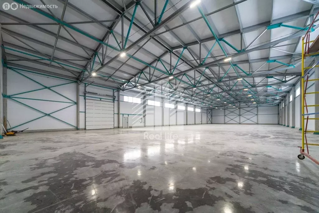 Склад (972 м) - Фото 2