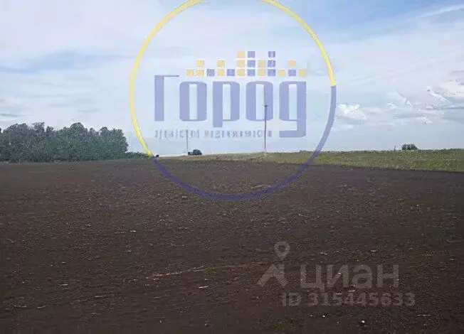 Участок в Челябинская область, Еткульский район, Селезянское с/пос, с. ... - Фото 1