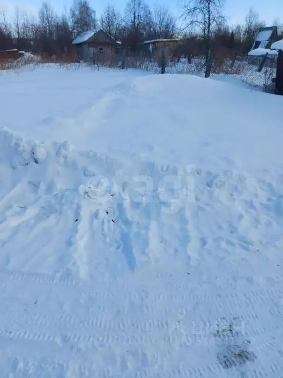 Участок в Тюменская область, Тобольск Здоровье садовое товарищество, ... - Фото 0