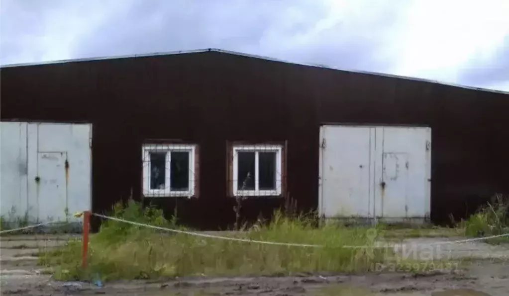 Помещение свободного назначения в Пермский край, Пермский ... - Фото 1