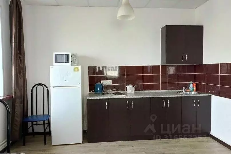 1-к кв. Ульяновская область, Ульяновск Камышинская ул., 88 (25.0 м) - Фото 1