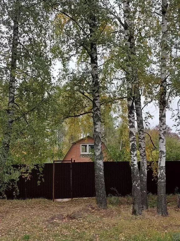 Дом в Курская область, Курск М-2 Крым, 524-й км (30 м) - Фото 1