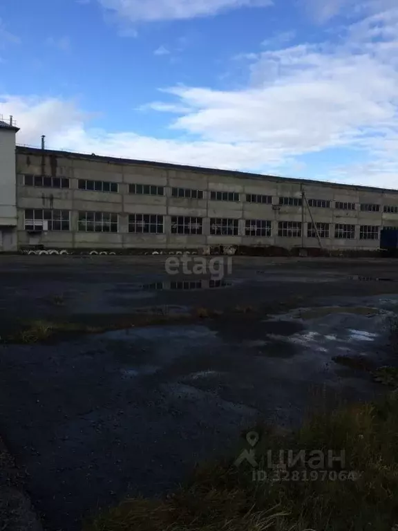 Склад в Курганская область, Каргаполье рп ул. Грейдерная, 4 (1676 м) - Фото 1