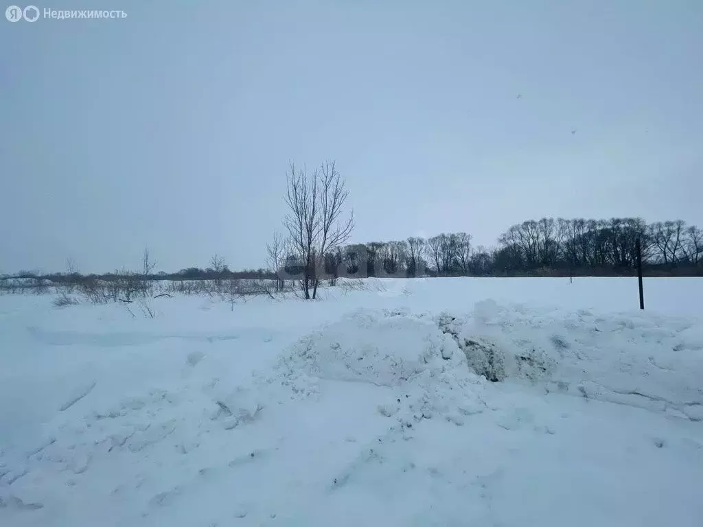 Участок в село Кротовка, Заречная улица (11.25 м) - Фото 2