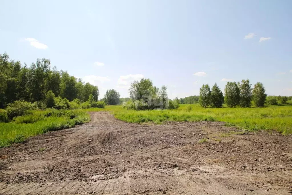 Участок в Тюменская область, Ялуторовский муниципальный округ, с. ... - Фото 1