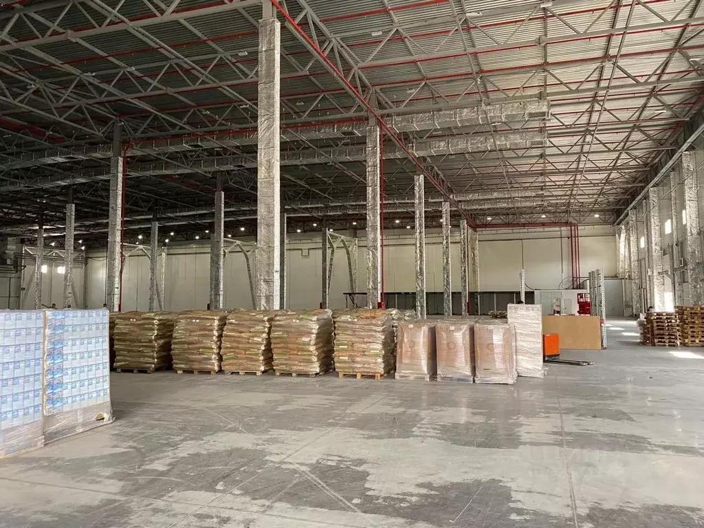 Склад в Краснодарский край, Краснодар городской округ, Октябрьский ... - Фото 1