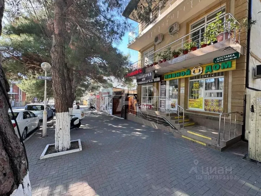 Торговая площадь в Краснодарский край, Геленджик Садовая ул., 22 (96 ... - Фото 1