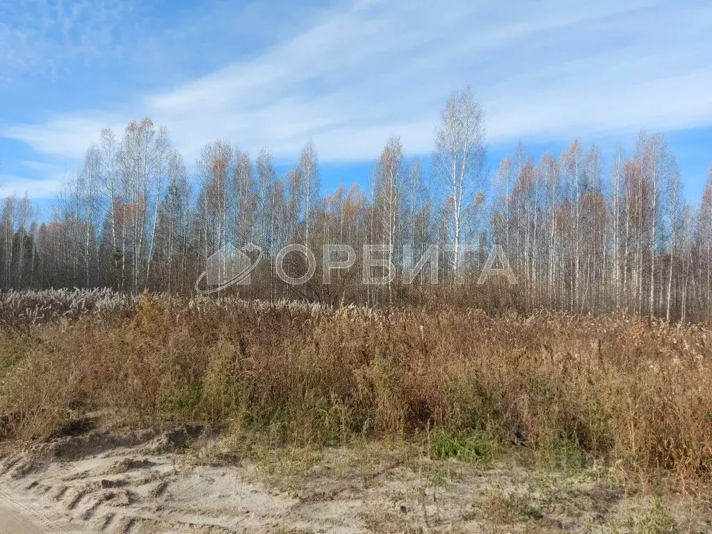 Участок в Тюменская область, Нижнетавдинский район, Сундукульский ... - Фото 1