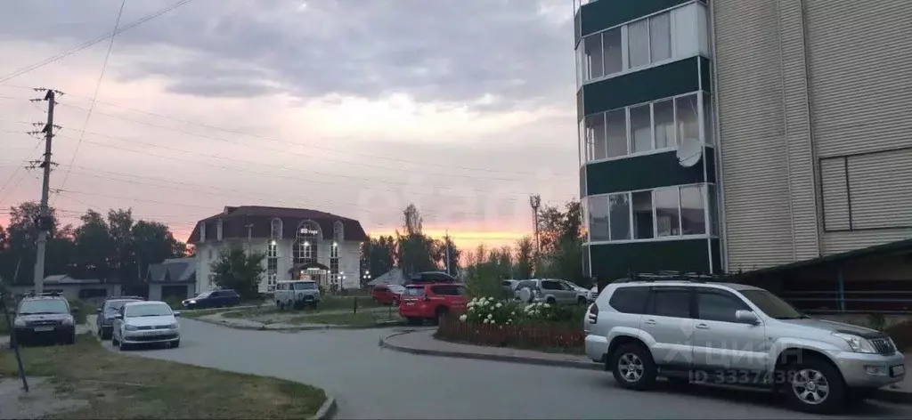Студия Алтай, Майминский район, с. Майма ул. Березовая роща (23.4 м) - Фото 1