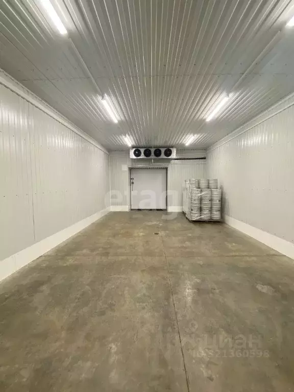 Помещение свободного назначения в Псковская область, Псков ... - Фото 1