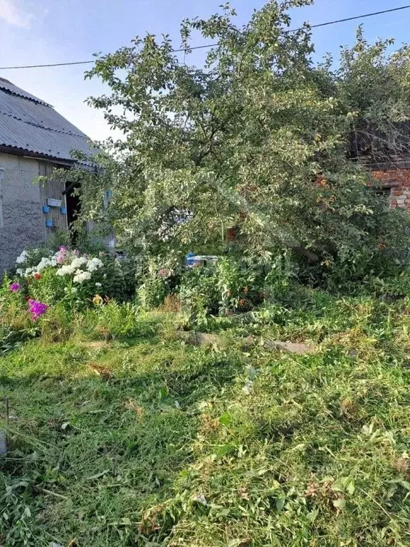 Дом в Свердловская область, Екатеринбург № 24 БЗСК СНТ, 61 (50 м) - Фото 0