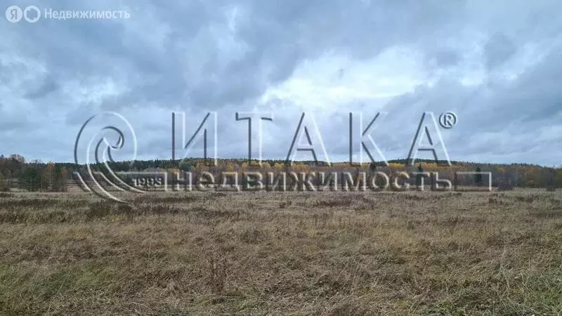 Участок в Выборгский район, Светогорское городское поселение, деревня ... - Фото 2