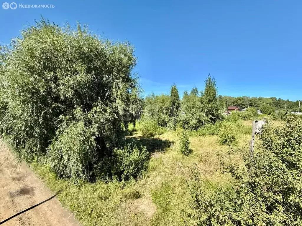 Участок в Тобольск, садоводческое товарищество Ветеран, Берёзовая ... - Фото 1
