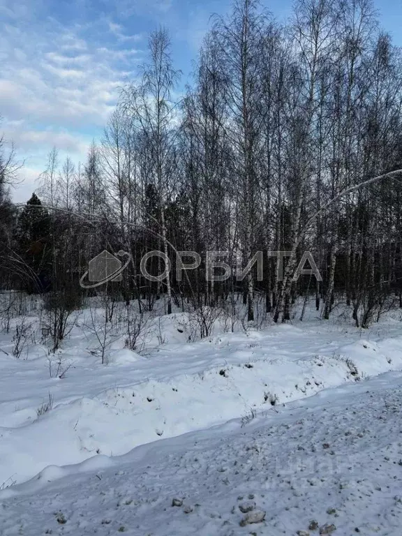 Участок в Тюменская область, Тюмень Березняковский мкр, ул. Степана ... - Фото 0