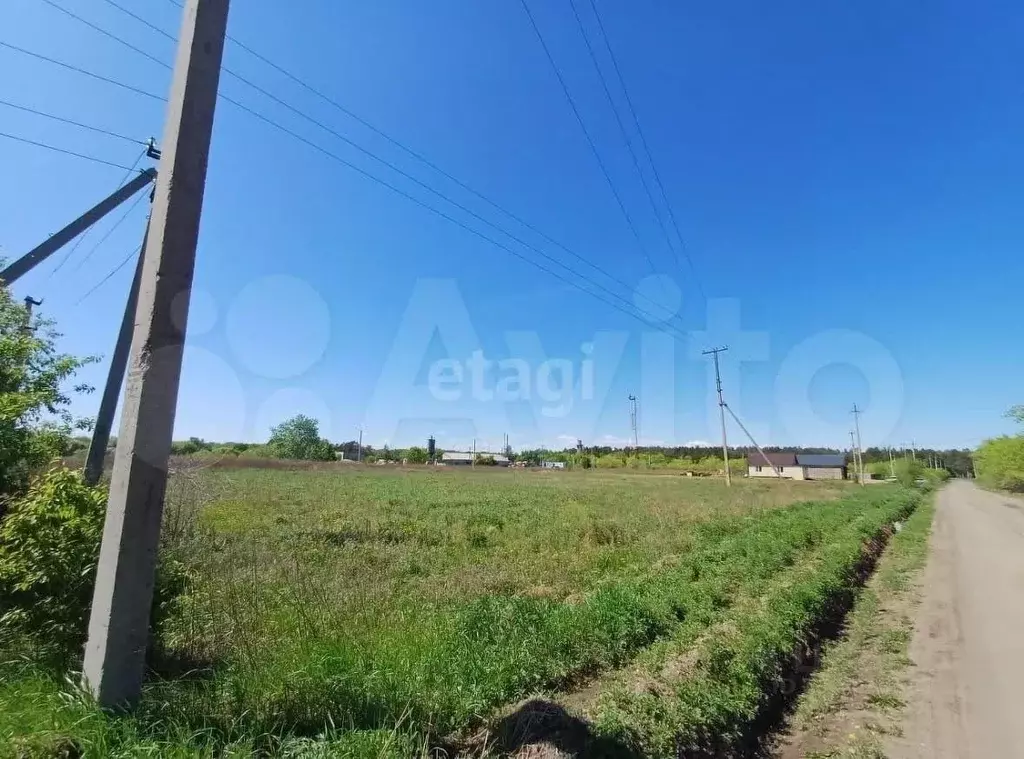 Участок в Амурская область, Благовещенский район, с. Усть-Ивановка  ... - Фото 1