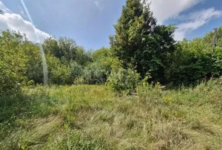 Участок в Алтай, Горно-Алтайск Плодовоягодная ул. (6.5 сот.) - Фото 1