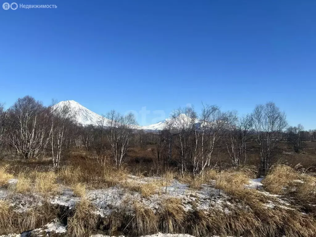 Участок в Камчатский край, Елизово (99.2 м) - Фото 1
