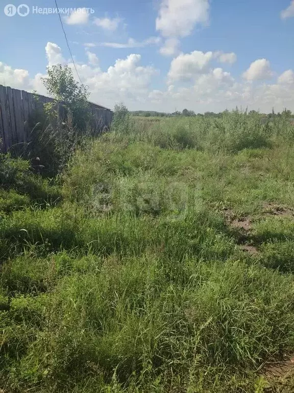 Участок в Черногорск, садоводческое некоммерческое товарищество район ... - Фото 1