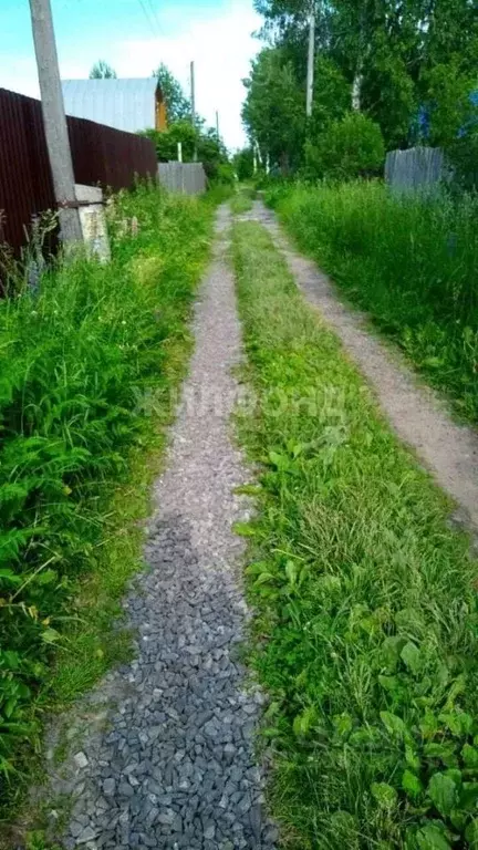 Участок в Новосибирская область, Новосибирский район, Новолуговской ... - Фото 0