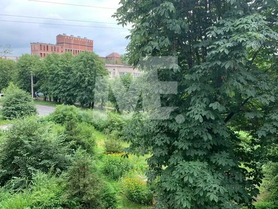 Помещение свободного назначения в Калининградская область, Калининград ... - Фото 1