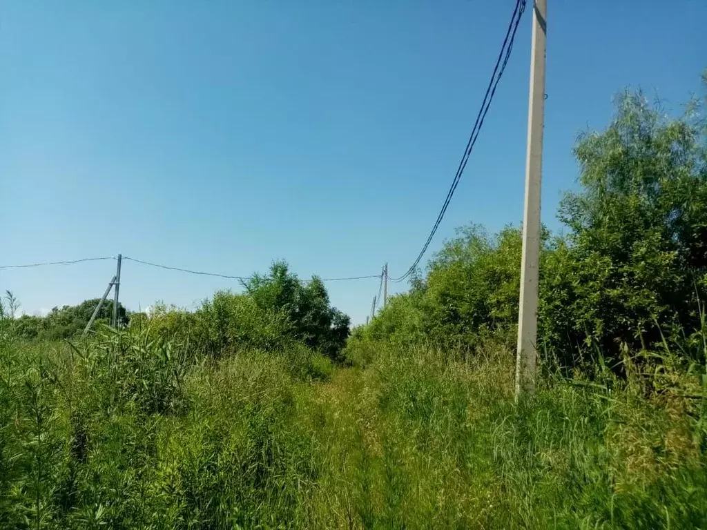 Участок в Хабаровский край, Хабаровск Фермерская ул., 27 (10.0 сот.) - Фото 1