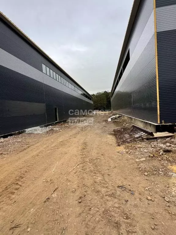 Склад в Московская область, Раменский муниципальный округ, Косино СНТ  ... - Фото 2