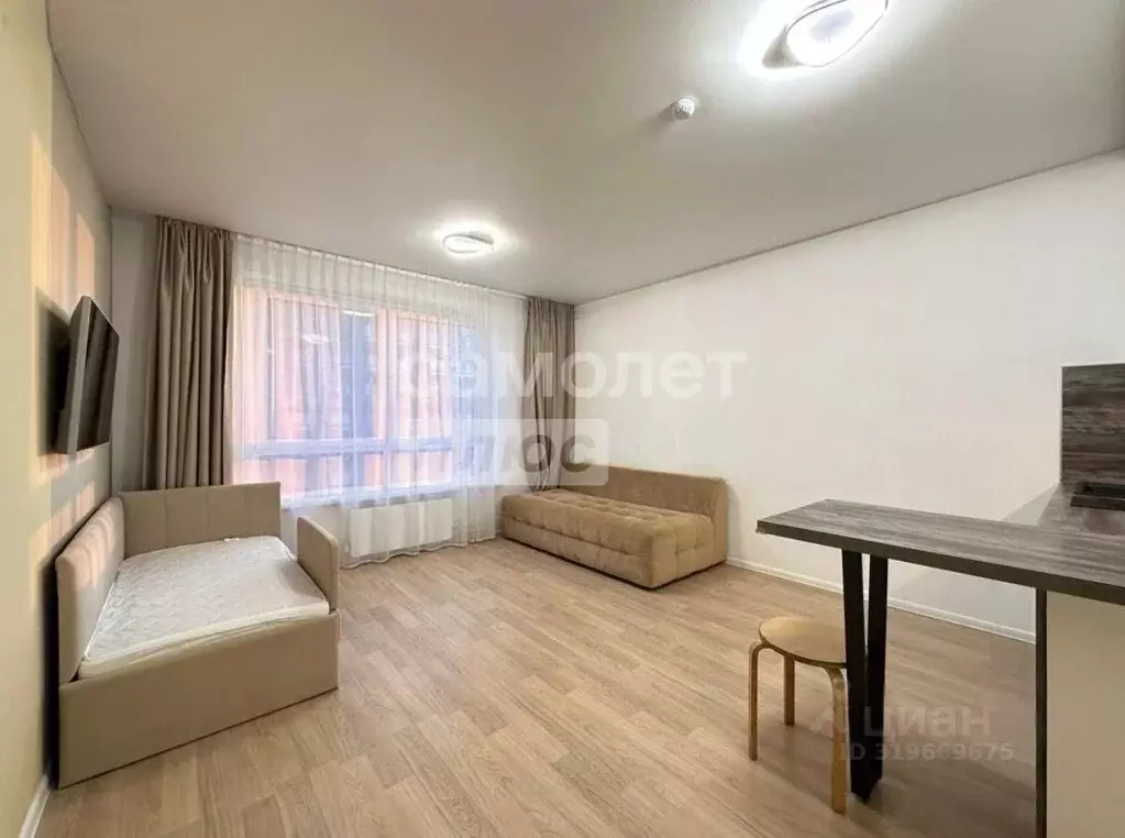 Студия Санкт-Петербург просп. Орлово-Денисовский, 19к3 (26.9 м) - Фото 0