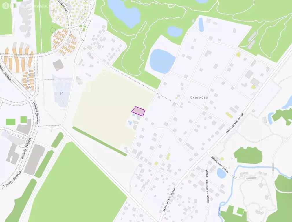 Участок в Одинцовский городской округ, деревня Сколково (25 м) - Фото 0
