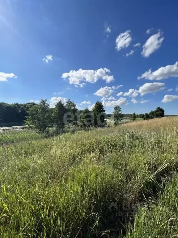 Участок в Калининградская область, Зеленоградский муниципальный округ, ... - Фото 1