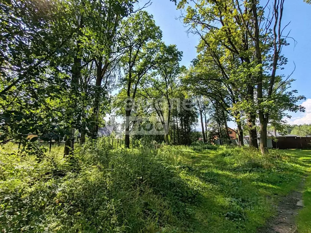 Участок в Калужская область, Дзержинский район, Льва Толстого с/пос, ... - Фото 1