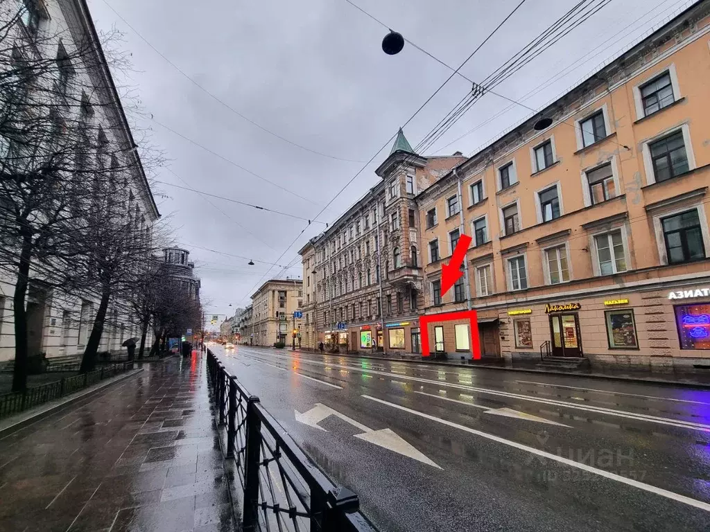 Помещение свободного назначения в Санкт-Петербург Суворовский просп., ... - Фото 2