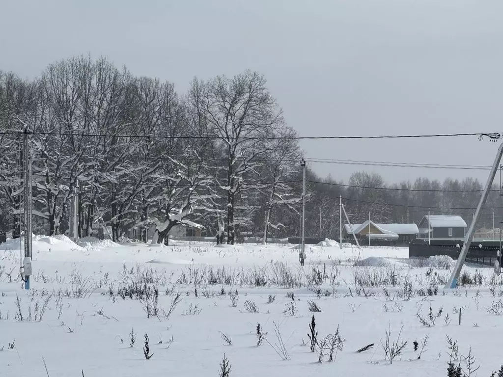 Участок в Московская область, Пушкинский городской округ, Софрино пгт  ... - Фото 1