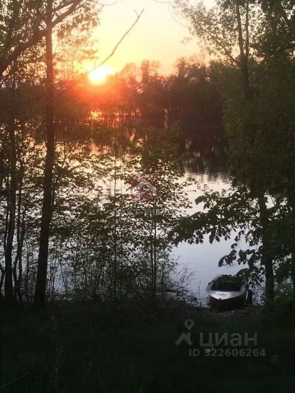 Участок в Саратовская область, Марксовский район, Приволжское ... - Фото 1