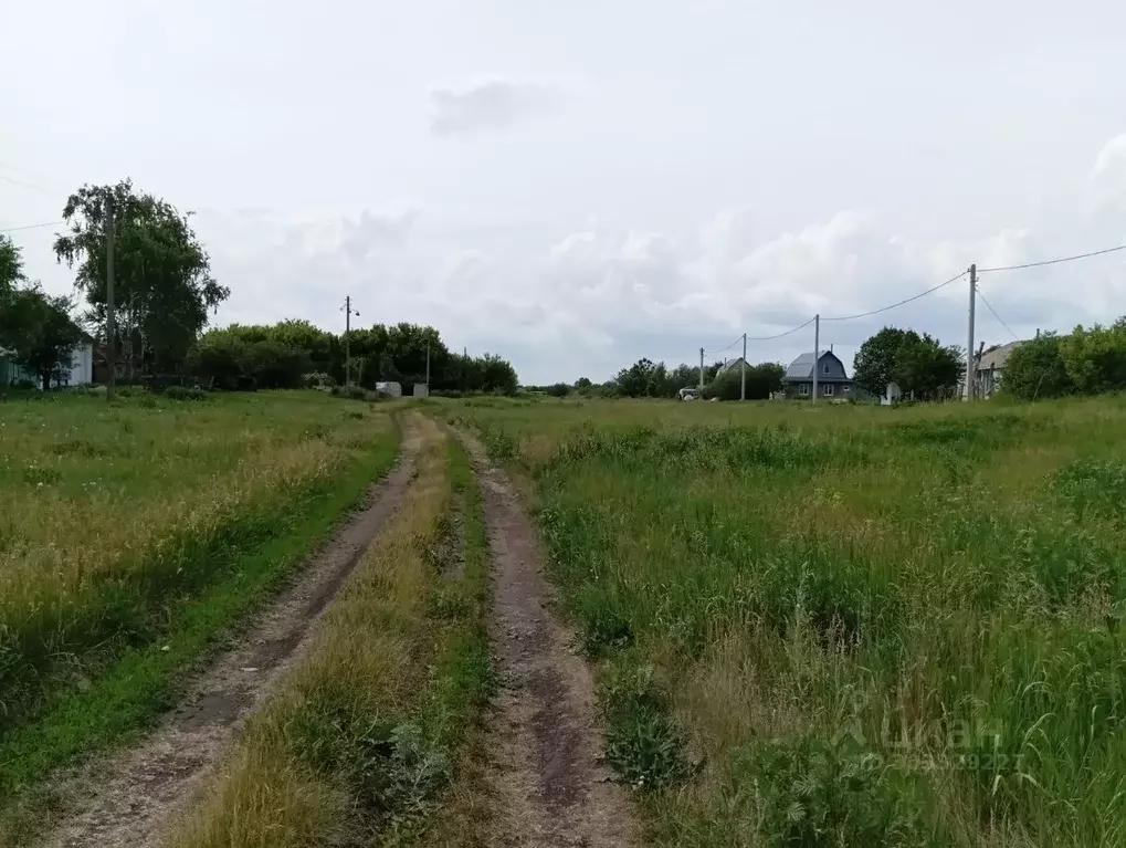 Участок в Воронежская область, Рамонский район, Русскогвоздевское ... - Фото 1