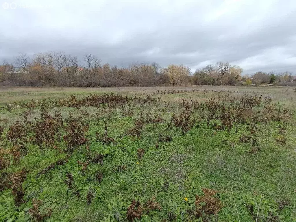 Участок в Добровское сельское поселение, село Краснолесье, улица ... - Фото 2