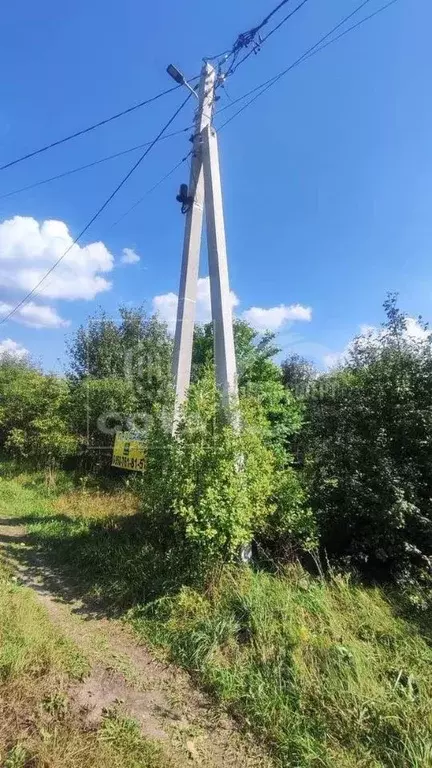 Участок в Воронежская область, с. Новая Усмань, Отрада СНТ ул. ... - Фото 2