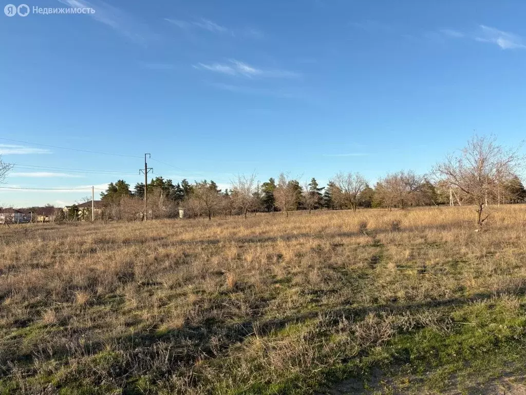 Участок в посёлок Царицын, Соловьиная улица (8.32 м) - Фото 2