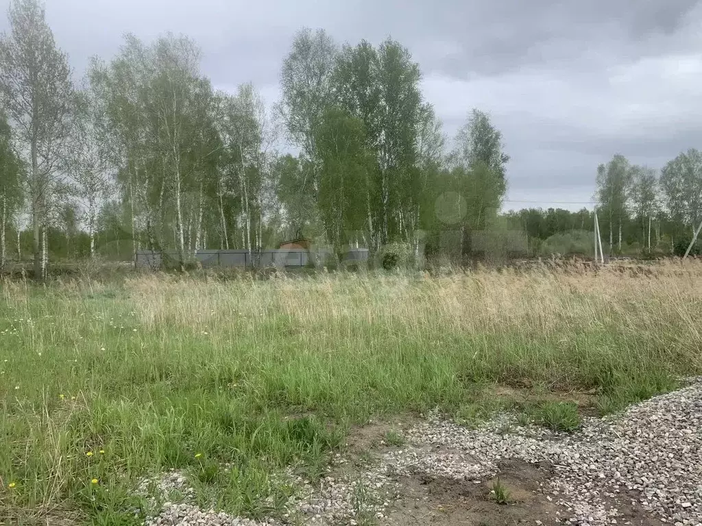 Участок 10 сот. (СНТ, ДНП) - Фото 0