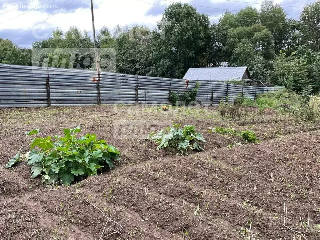 Участок в Хабаровский район, рабочий посёлок Корфовский (4.82 м) - Фото 2